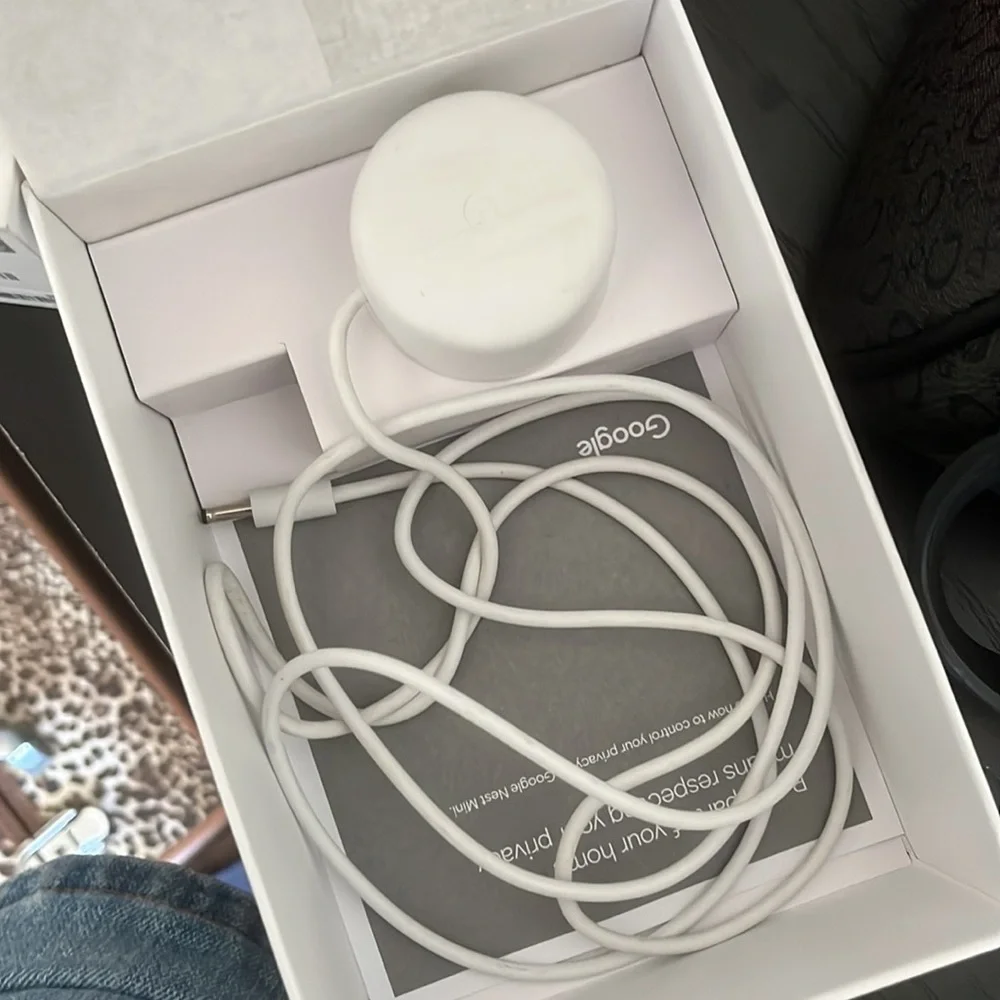 google nest mini 2